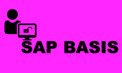 SAP BASIS Online Training