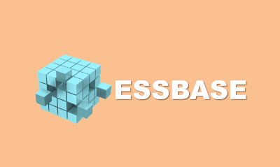 Hyperion Essbase Training training video
