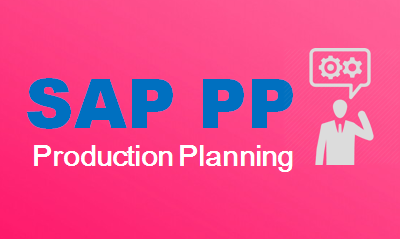 SAP PP training