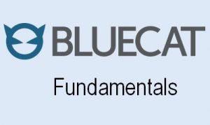 BlueCat Fundamental Online Training